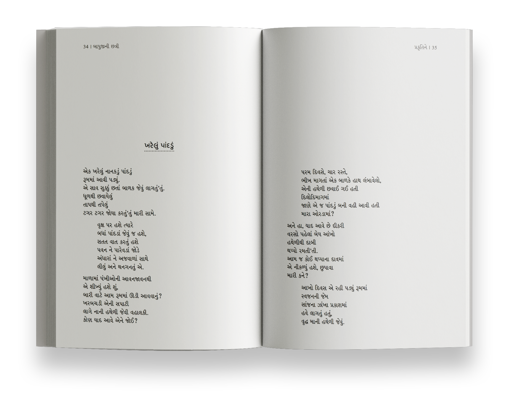 બાપુજીની છત્રી